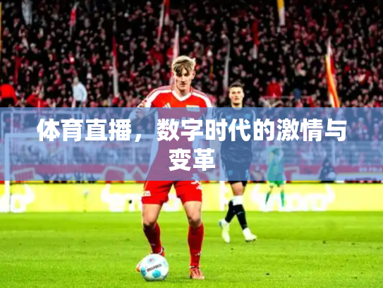 体育直播，数字时代的激情与变革