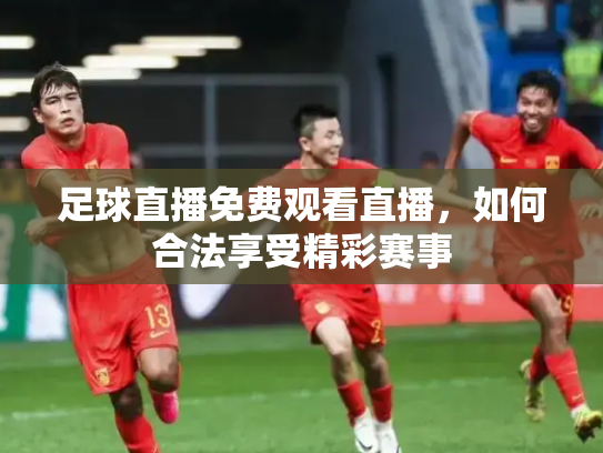 足球直播免费观看直播，如何合法享受精彩赛事