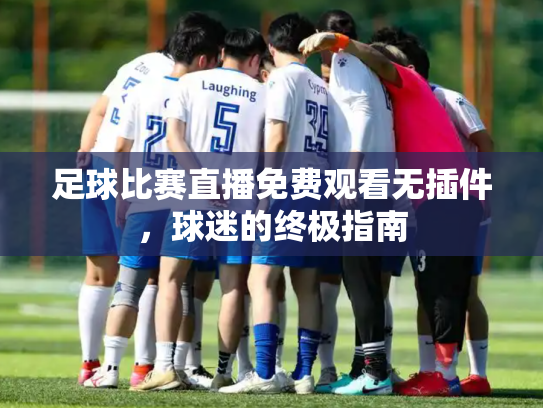 足球比赛直播免费观看无插件，球迷的终极指南