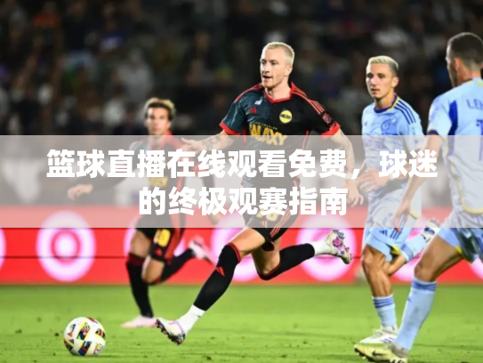 篮球直播在线观看免费，球迷的终极观赛指南