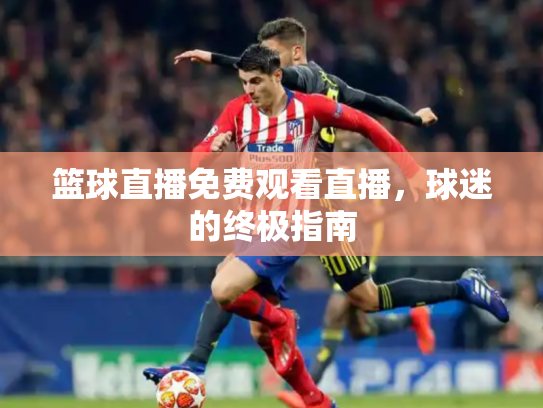 篮球直播免费观看直播，球迷的终极指南