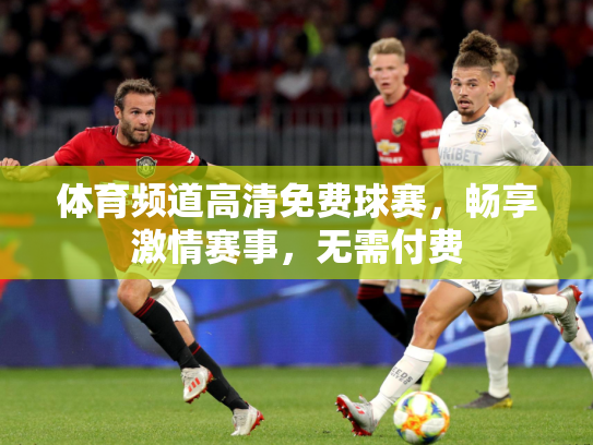 体育频道高清免费球赛，畅享激情赛事，无需付费