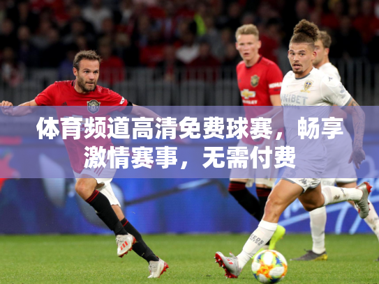 体育频道高清免费球赛，畅享激情赛事，无需付费