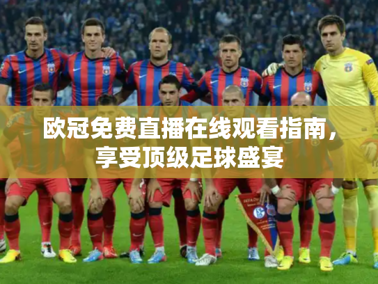 欧冠免费直播在线观看指南，享受顶级足球盛宴