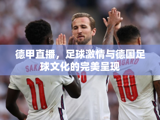 德甲直播，足球激情与德国足球文化的完美呈现