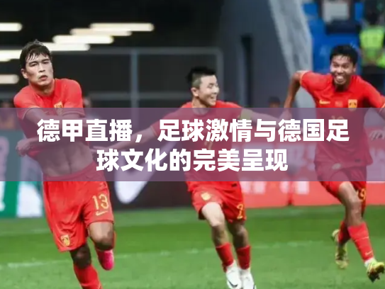 德甲直播，足球激情与德国足球文化的完美呈现