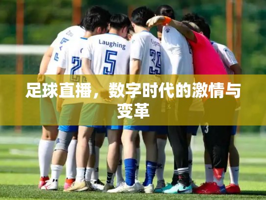 足球直播，数字时代的激情与变革