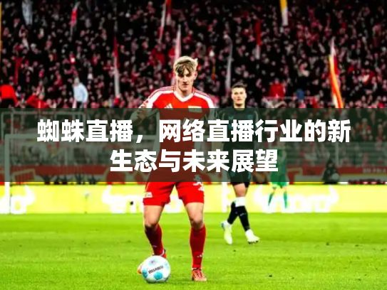 蜘蛛直播，网络直播行业的新生态与未来展望