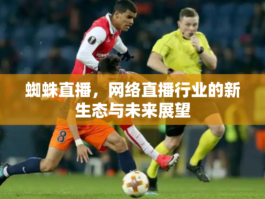 蜘蛛直播，网络直播行业的新生态与未来展望