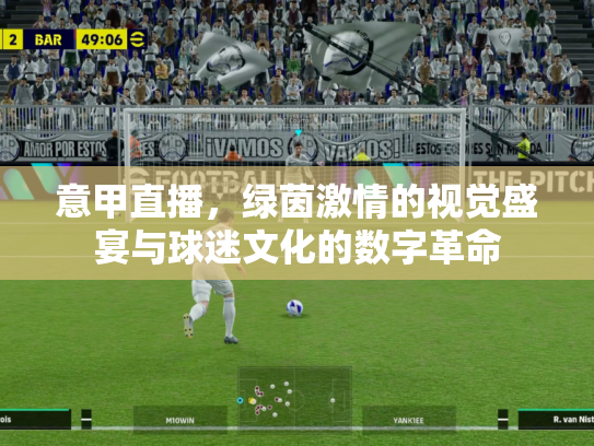 意甲直播，绿茵激情的视觉盛宴与球迷文化的数字革命