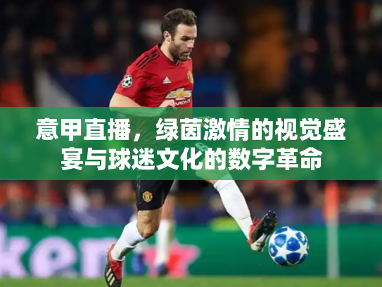 意甲直播，绿茵激情的视觉盛宴与球迷文化的数字革命