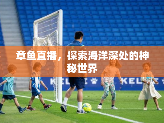 章鱼直播，探索海洋深处的神秘世界