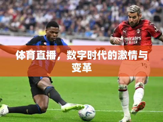 体育直播，数字时代的激情与变革