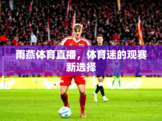雨燕体育直播，体育迷的观赛新选择