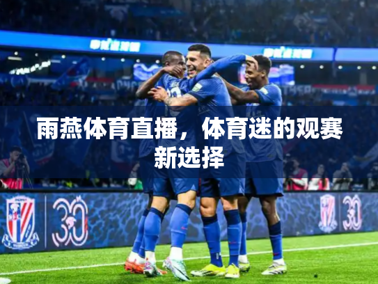 雨燕体育直播，体育迷的观赛新选择