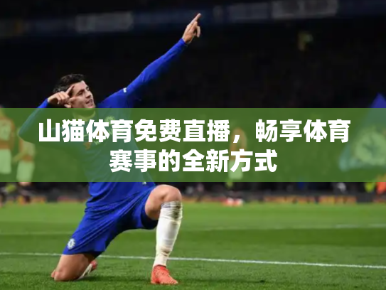 山猫体育免费直播，畅享体育赛事的全新方式