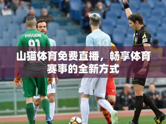 山猫体育免费直播，畅享体育赛事的全新方式