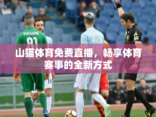 山猫体育免费直播，畅享体育赛事的全新方式