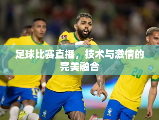 足球比赛直播，技术与激情的完美融合