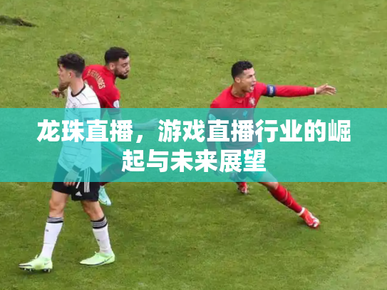 龙珠直播，游戏直播行业的崛起与未来展望