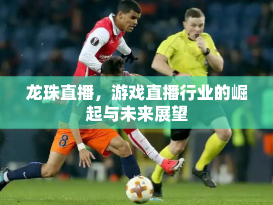 龙珠直播，游戏直播行业的崛起与未来展望