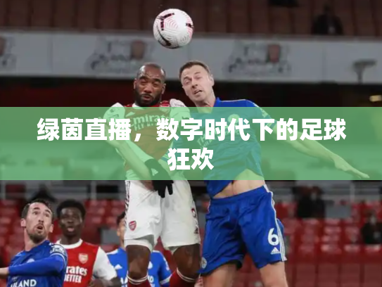 绿茵直播，数字时代下的足球狂欢