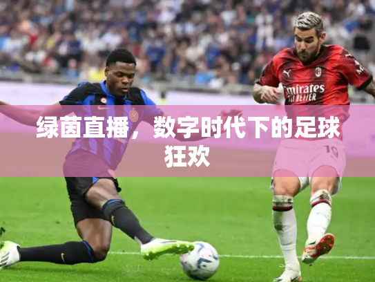 绿茵直播，数字时代下的足球狂欢