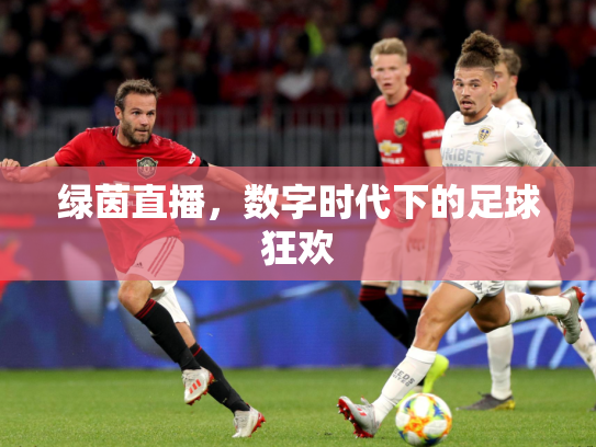 绿茵直播，数字时代下的足球狂欢