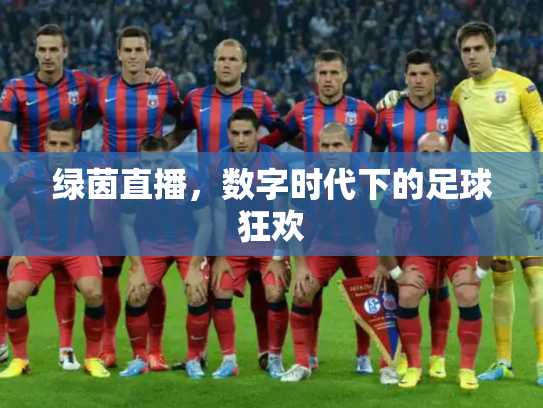 绿茵直播，数字时代下的足球狂欢