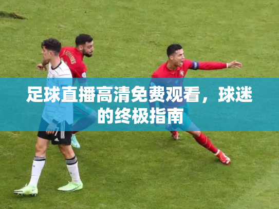 足球直播高清免费观看，球迷的终极指南