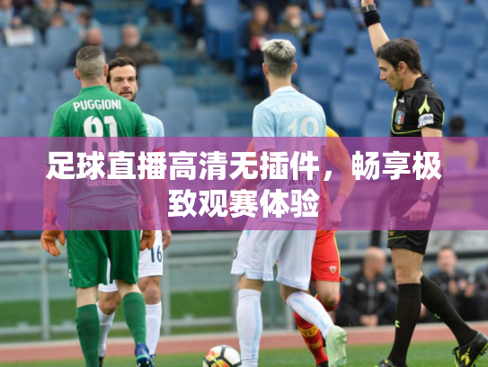 足球直播高清无插件，畅享极致观赛体验