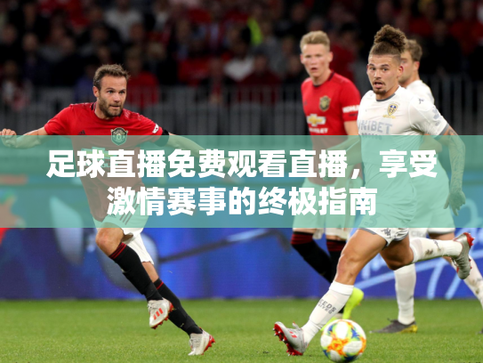 足球直播免费观看直播，享受激情赛事的终极指南