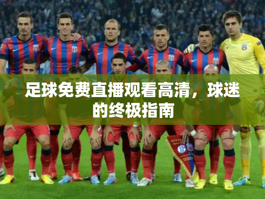 足球免费直播观看高清，球迷的终极指南