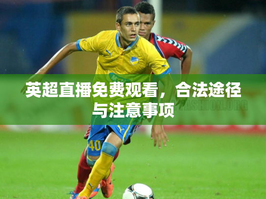 英超直播免费观看，合法途径与注意事项