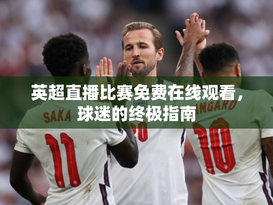 英超直播比赛免费在线观看，球迷的终极指南
