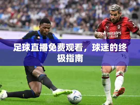 足球直播免费观看，球迷的终极指南