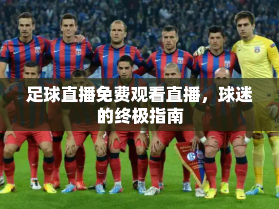 足球直播免费观看直播，球迷的终极指南