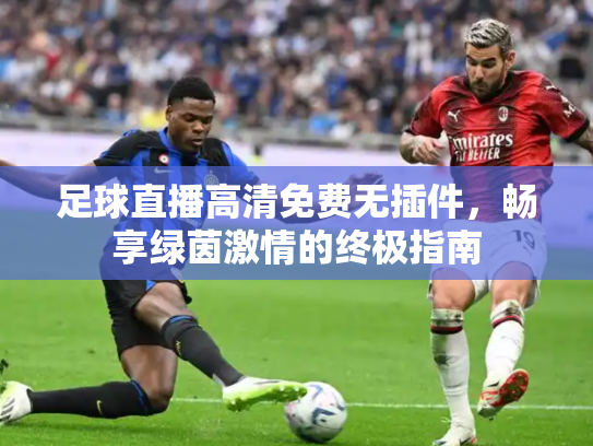 足球直播高清免费无插件，畅享绿茵激情的终极指南