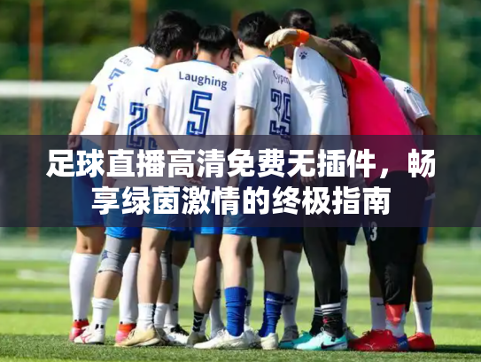 足球直播高清免费无插件，畅享绿茵激情的终极指南