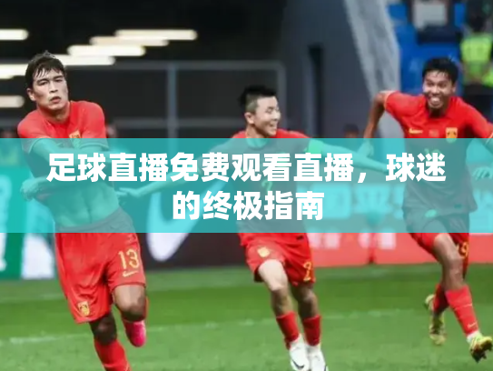 足球直播免费观看直播，球迷的终极指南