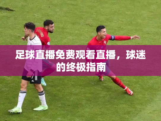 足球直播免费观看直播，球迷的终极指南