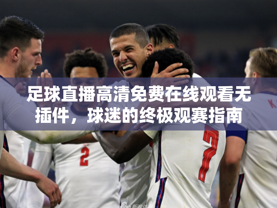 足球直播高清免费在线观看无插件，球迷的终极观赛指南