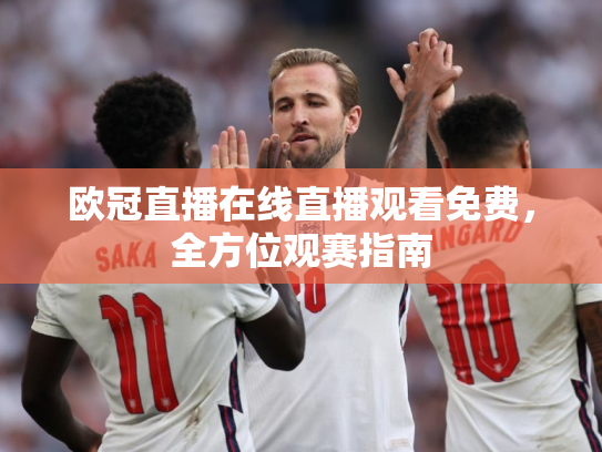欧冠直播在线直播观看免费，全方位观赛指南