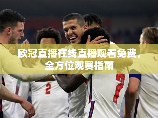 欧冠直播在线直播观看免费，全方位观赛指南