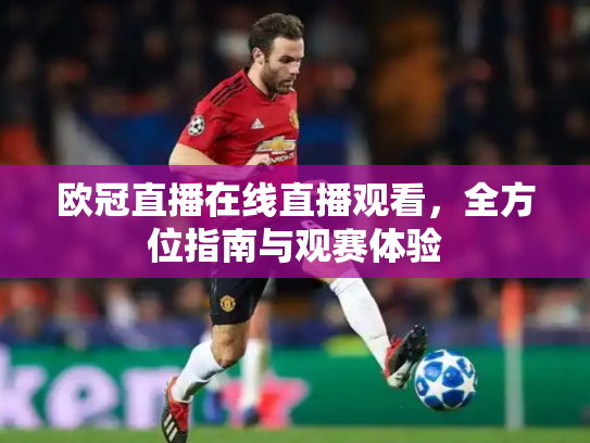欧冠直播在线直播观看，全方位指南与观赛体验