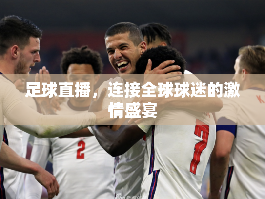 足球直播，连接全球球迷的激情盛宴
