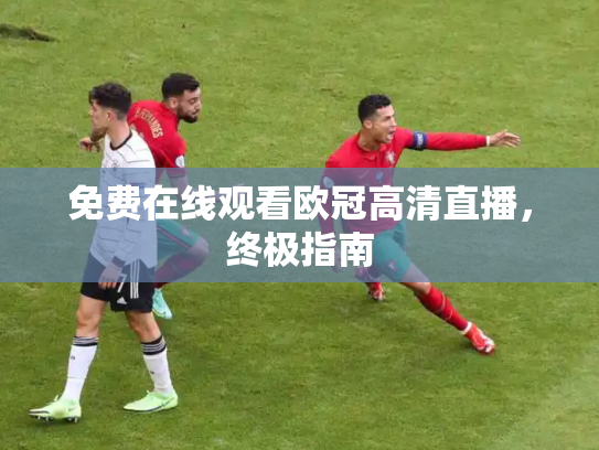 免费在线观看欧冠高清直播，终极指南