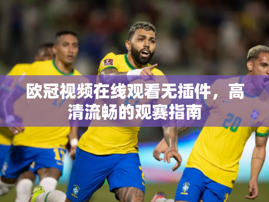 欧冠视频在线观看无插件，高清流畅的观赛指南