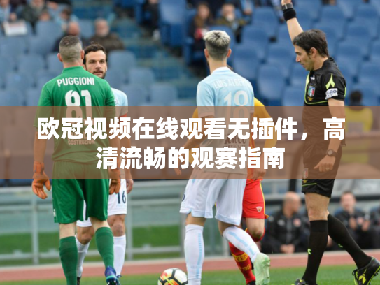 欧冠视频在线观看无插件，高清流畅的观赛指南