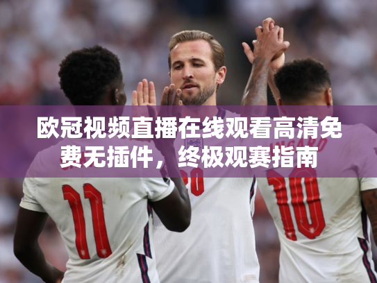 欧冠视频直播在线观看高清免费无插件，终极观赛指南